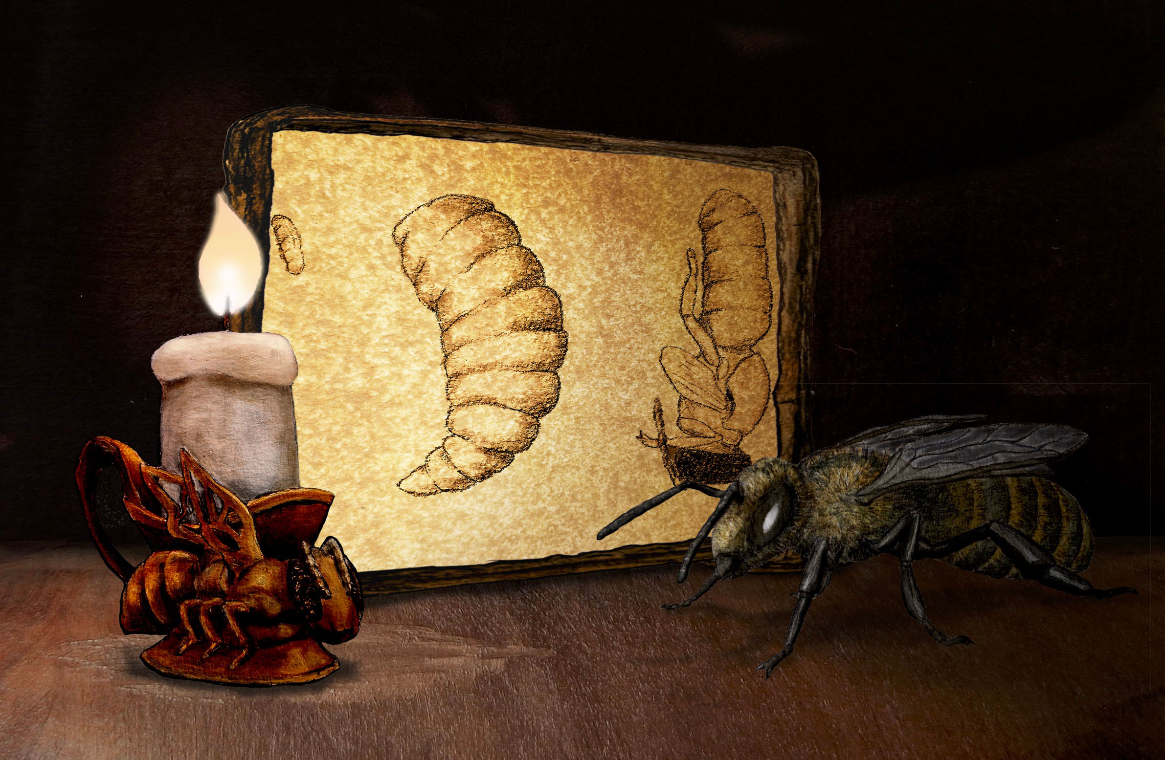 Esoterically Inspired Entomological Illustration - Bee