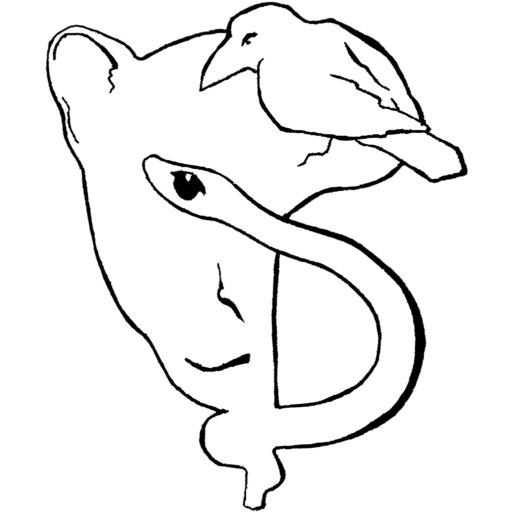 bastienillustrations.com