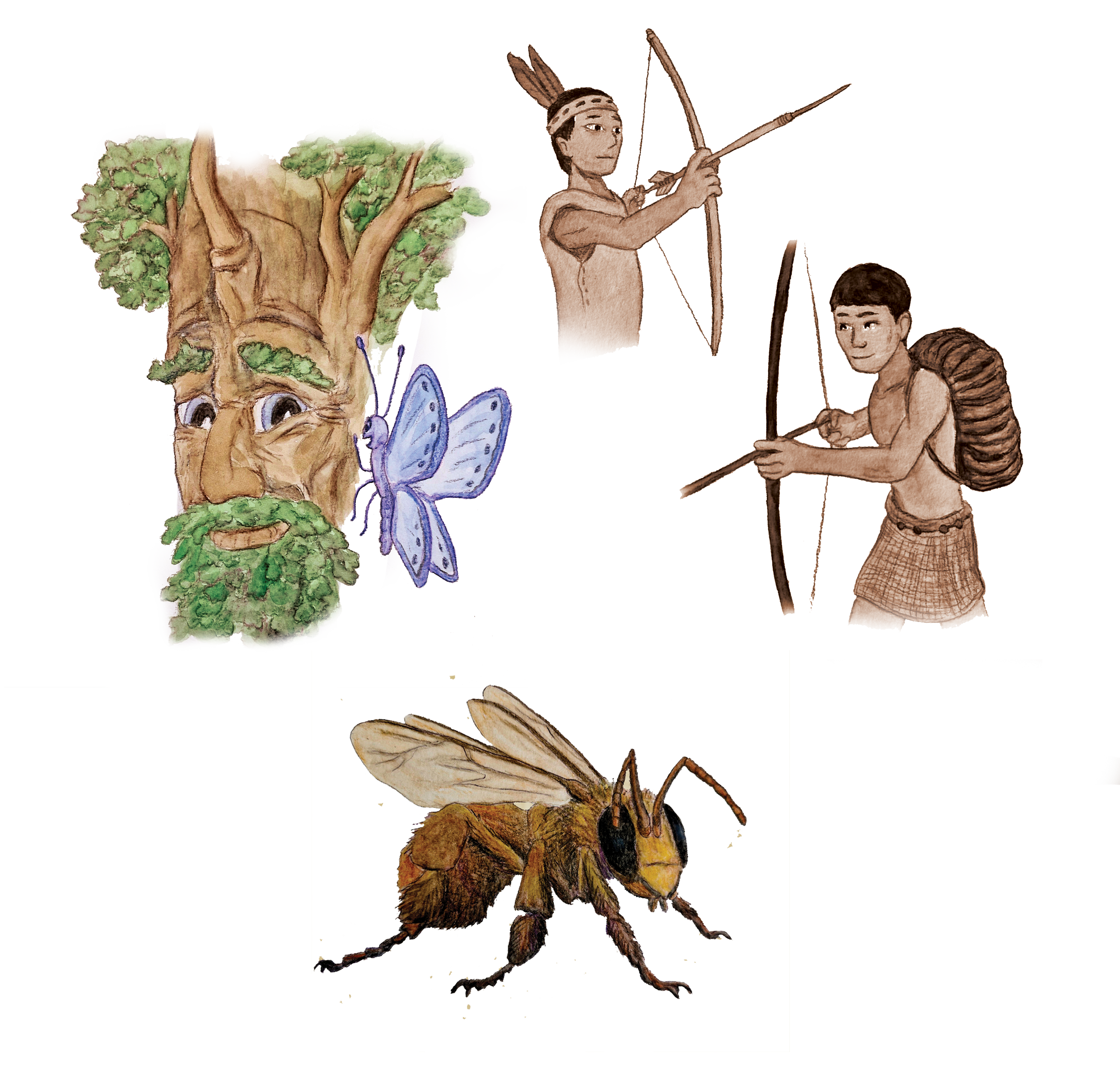 Illustration scientifique pour support pédagogique, orientés conservation de la biodiversité, pratiques culturelles écologiques et anthropologiques.
