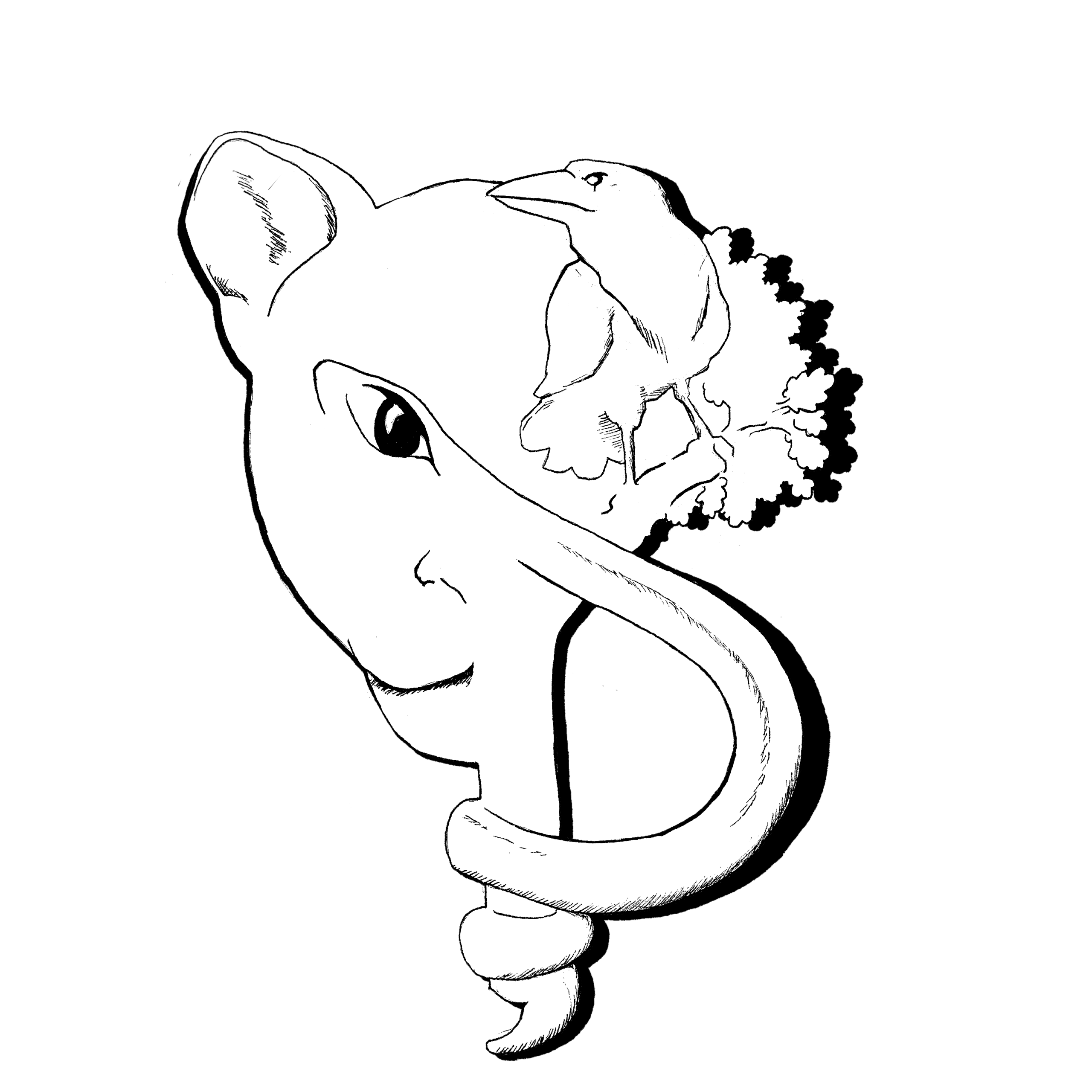 bastienillustrations.com