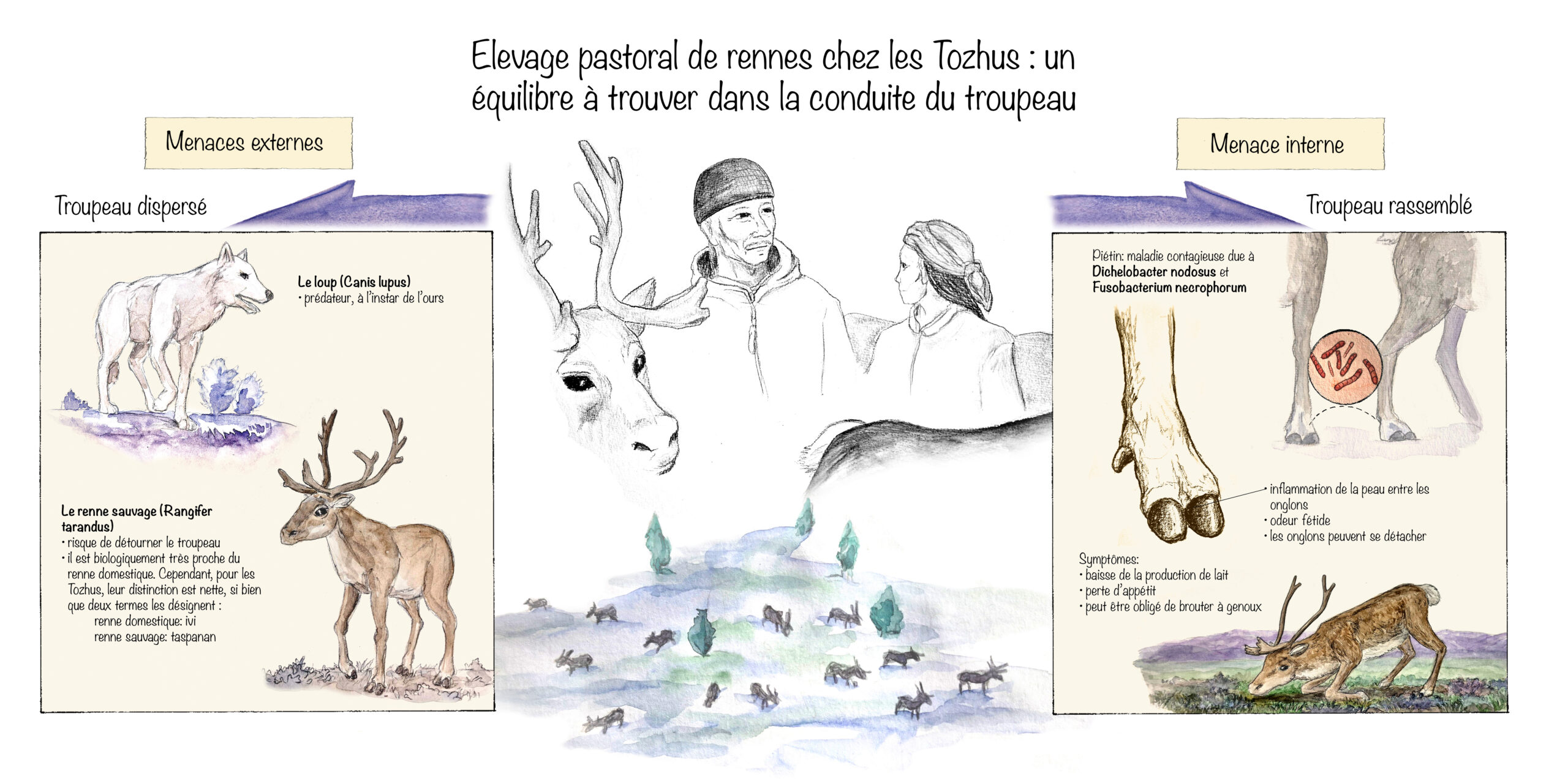 Pêche aux nases dans la région de Fribourg (début du 20ème siècle).